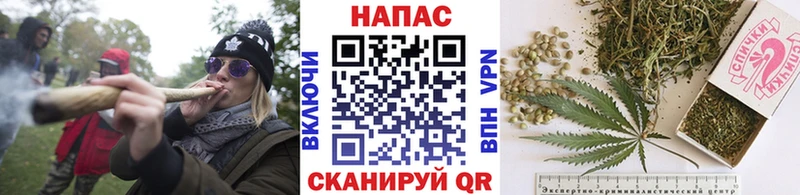 Бошки марихуана SATIVA & INDICA  Раменское 
